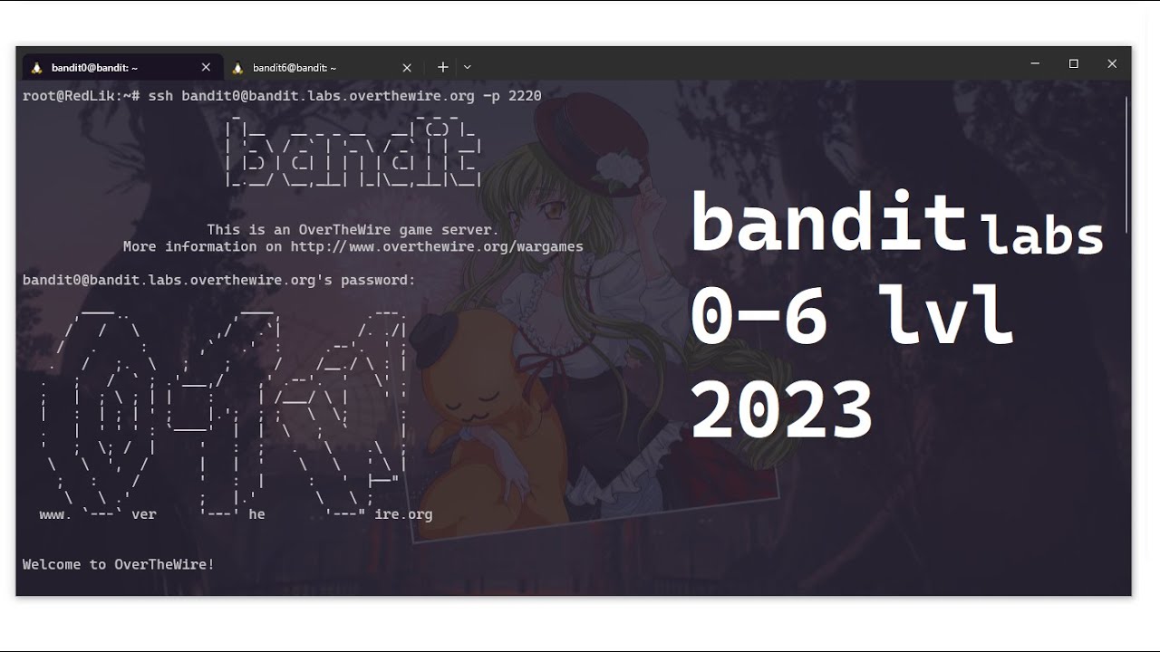 Подробное прохождение bandit overthewire 0-6 lvl | 2023