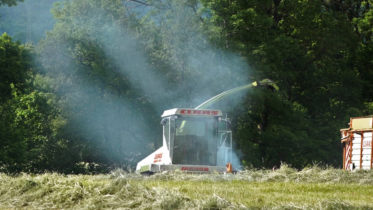 Rauchwolken über dem Claas Jaguar 685 SL