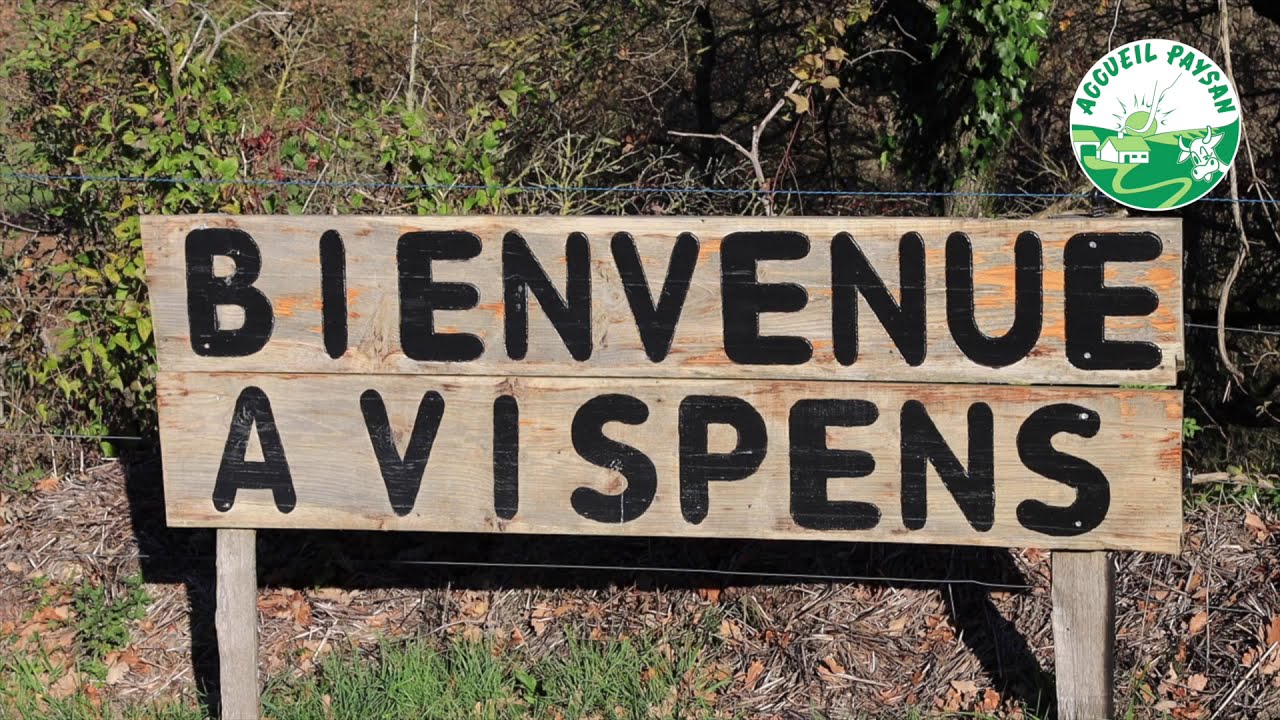 Découvrir la Ferme équestre de Vispens : des séjours équestres pour tous !