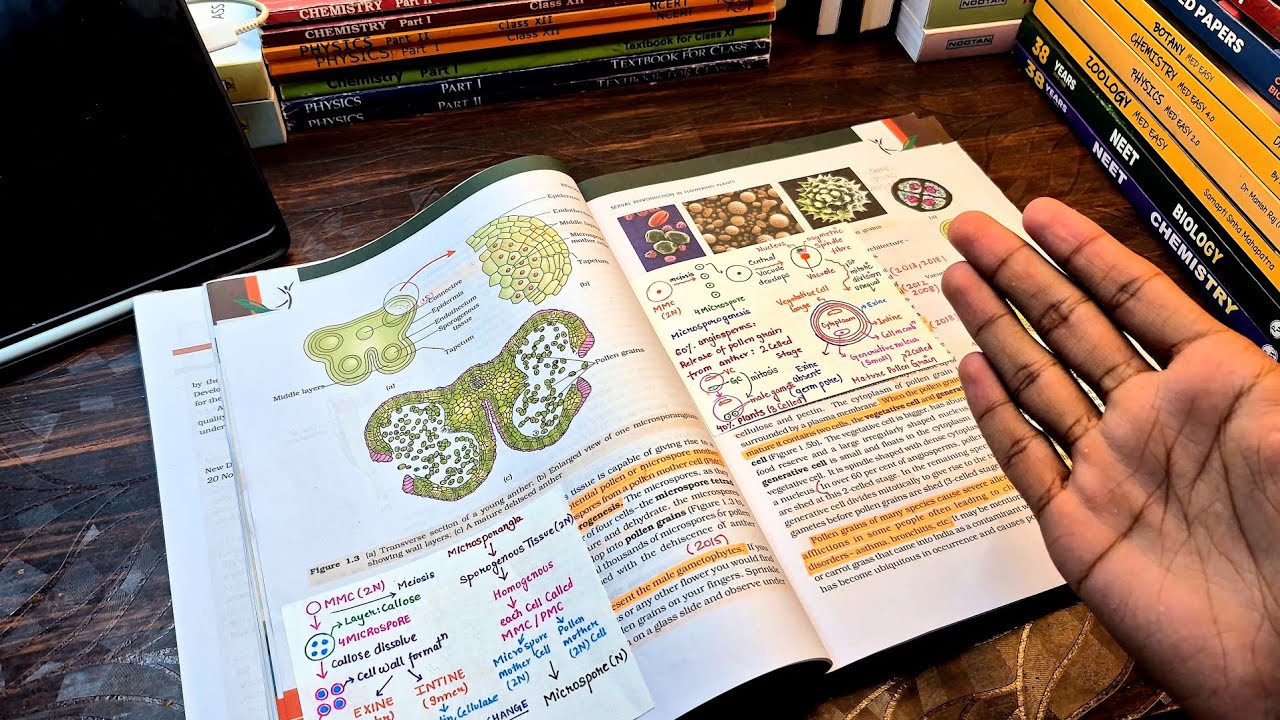 MY STRATEGY FOR BIOLOGY BOARD EXAM ISC 2026 and NEET 2026