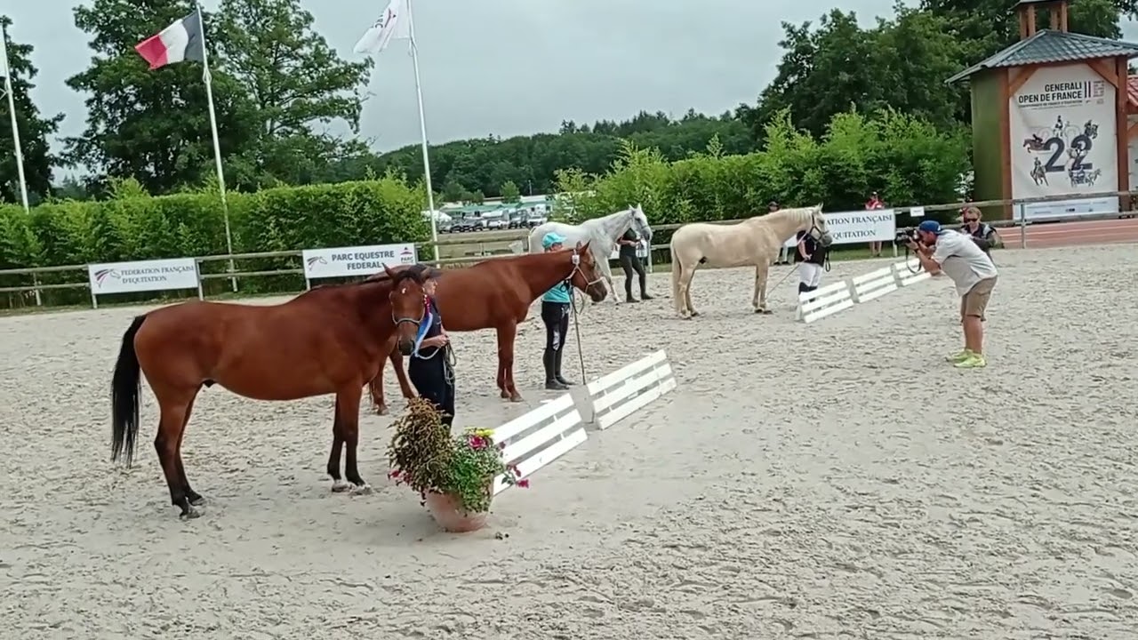 Lamotte Equifeel 2022