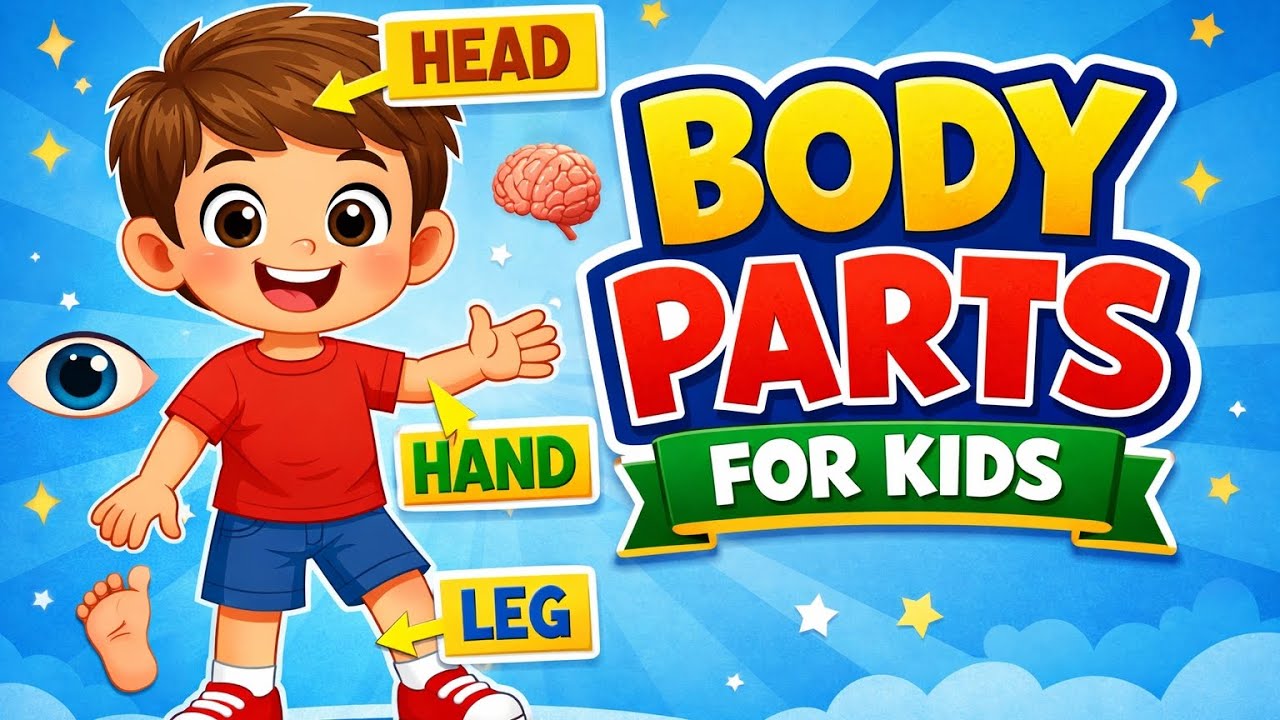 Body Parts Name for Kids | Learn Human Body Parts in English | Kids Study Zone #USAkids #BodyParts