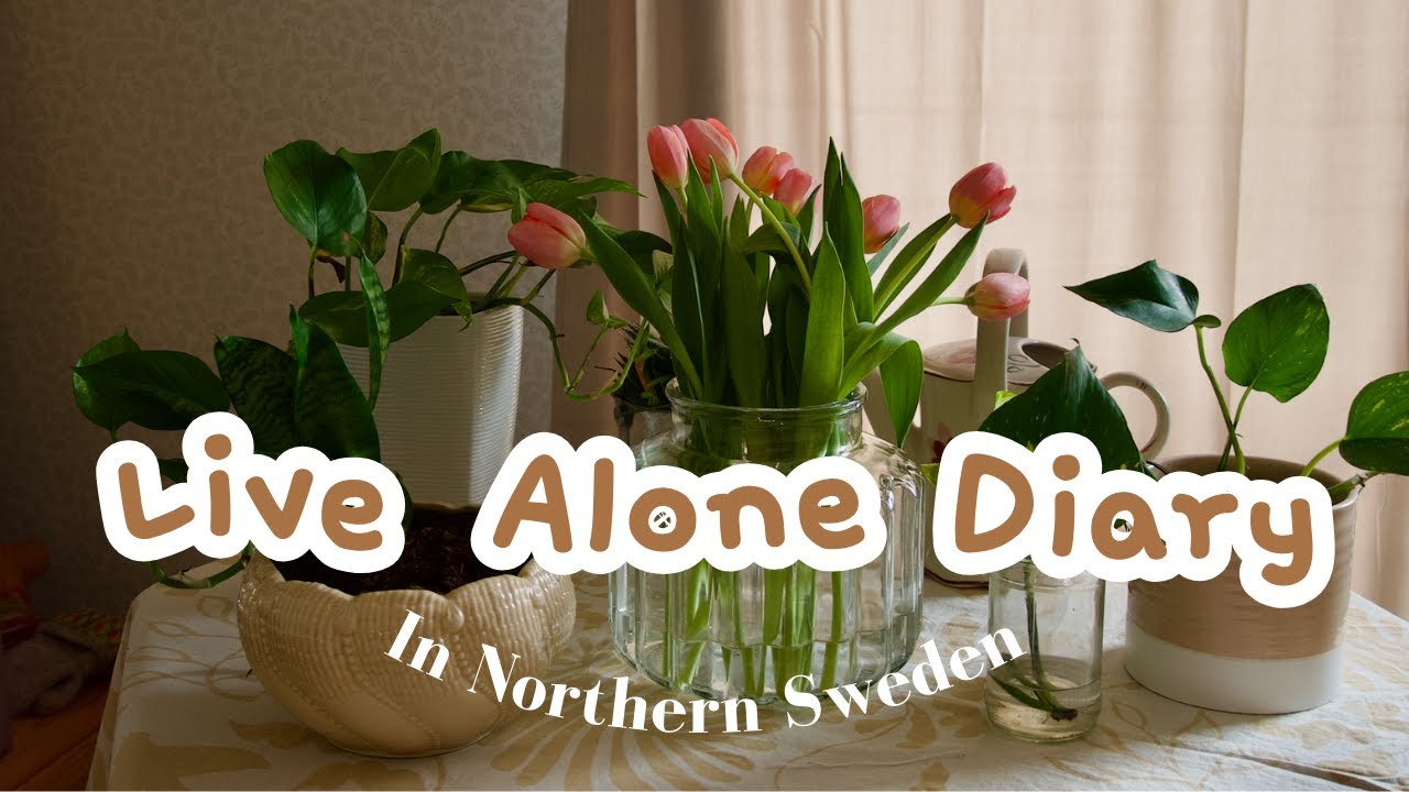 Live Alone in Northern Sweden | Slow Living, Spring Rituals & Vego Easter Dinner