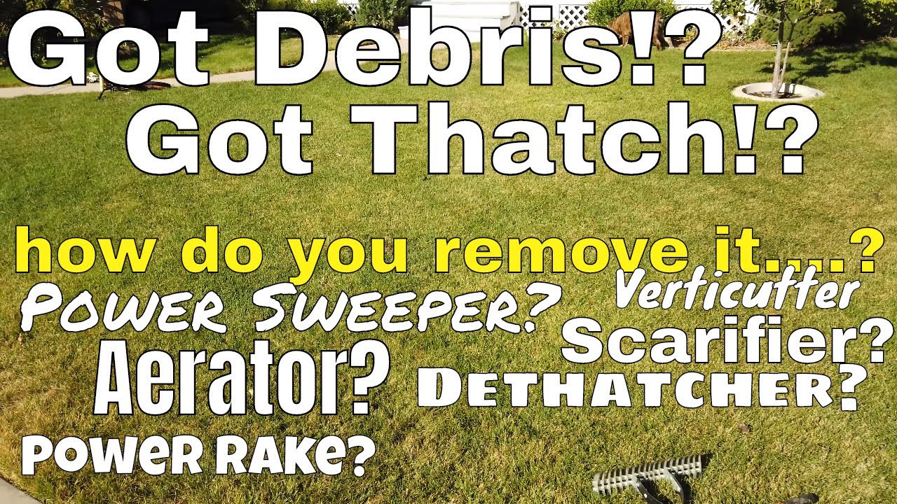 How to choose power rake, scarifier, dethatcher, verticutter or power broom for your lawn.