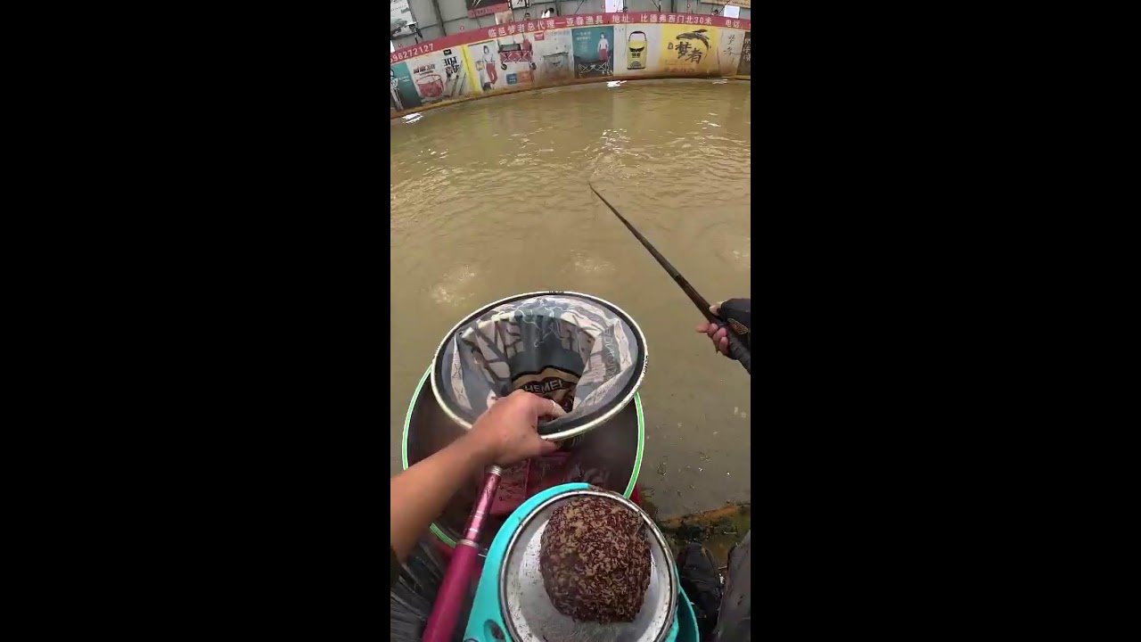 I won't stop broadcasting until I catch a thousand fish today.
