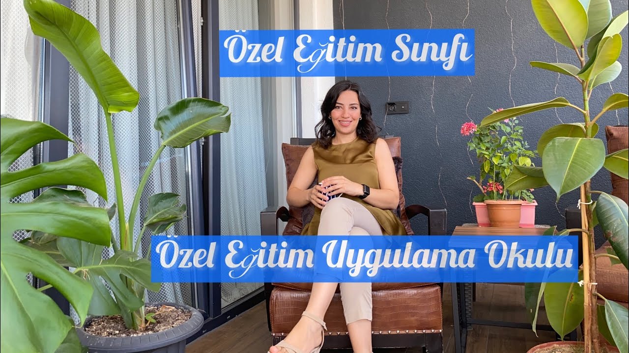 ÖZEL EĞİTİM SINIFI VE ÖZEL EĞİTİM UYGULAMA OKULU NEDİR?