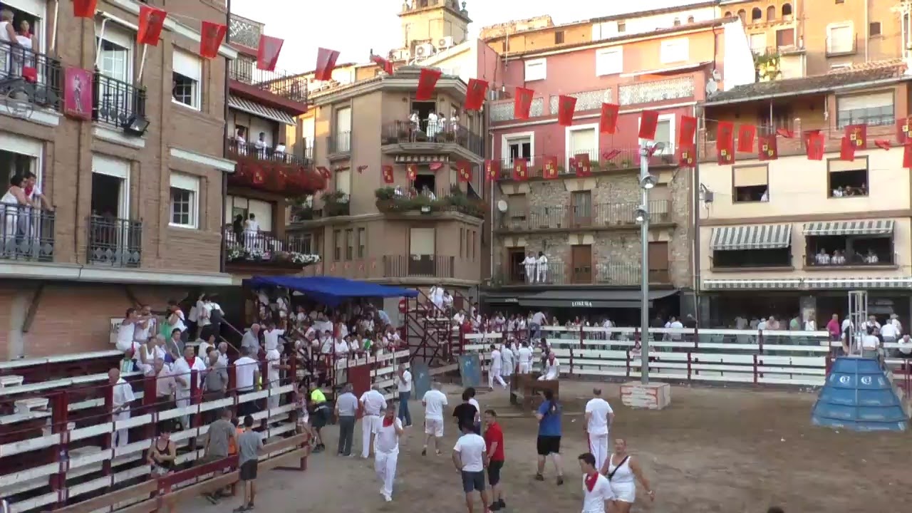 Mendavia, Fiestas 2019, Directo Encierro, Ganadería Jesús Estenaga Los Arcos 29/08/19