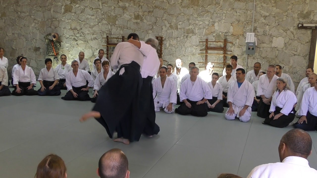2017 Aikido Center of Atlanta 50th Yoshimitsu Yamada   03