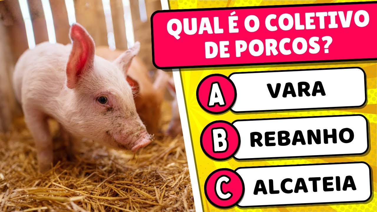 🔥 Mostre que você sabe tudo de conhecimentos gerais com esse quiz 🏆