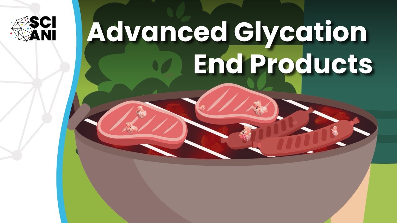 How do Advanced Glycation End Products cause us to grow older quicker?