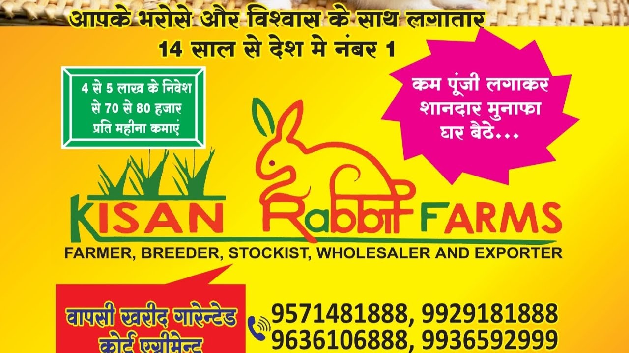 14 वर्षों से देश की नम्बर 1 रैबिट फ़ार्मिंग , ट्रेडिंग और एक्सपोर्ट कम्पनी . whats app on 9571481888