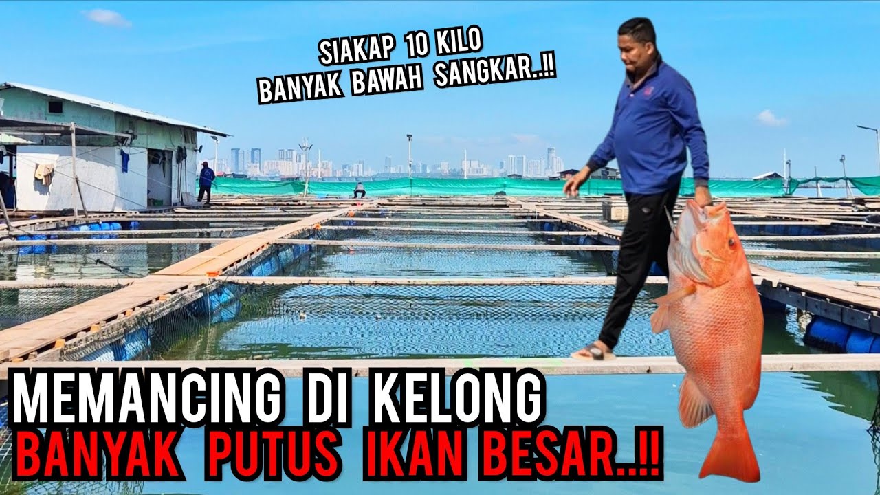 MEMANCING DI KELONG | BANYAK SAIZ GORGON MENGGANAS