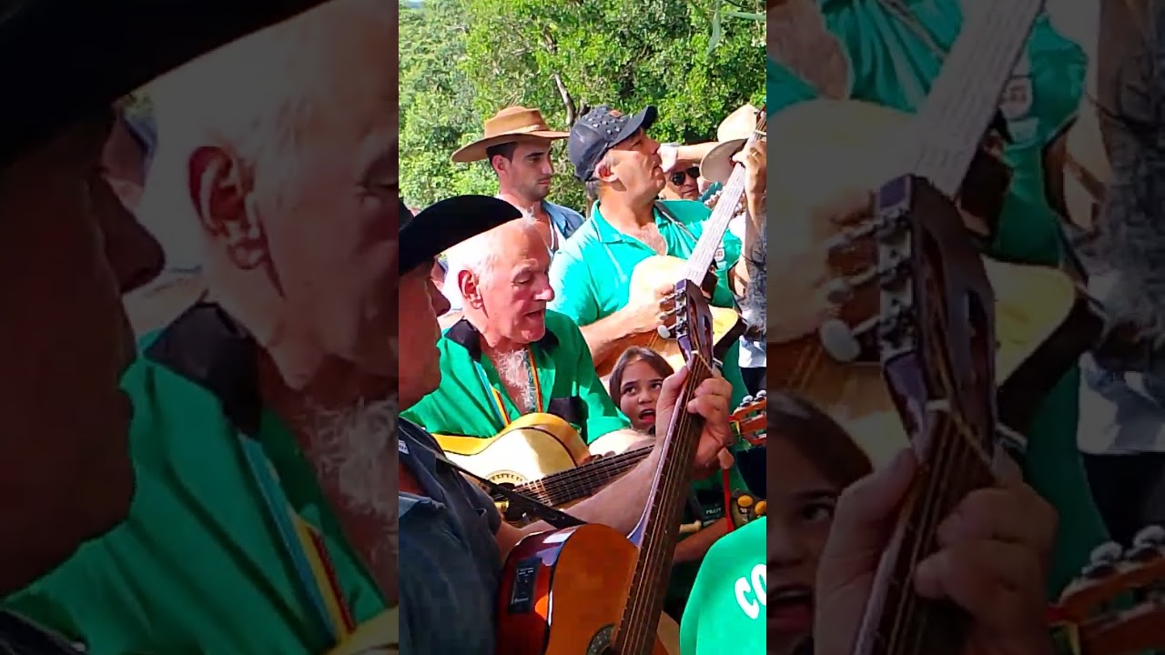 Festa Janaína e Dirceu . Uma linda garotinha cantado na tala 