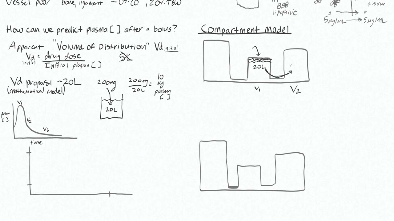 Pharmacokinetics Part 2 - Volume of Distribution, 3 Compartment Model