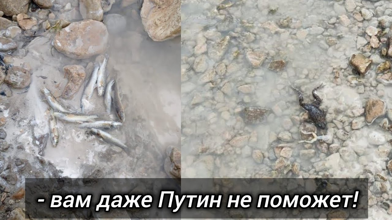 В с. Гулли Кайтагского р-на происходит экологическая катастрофа! Чаринский & Джабраилович
