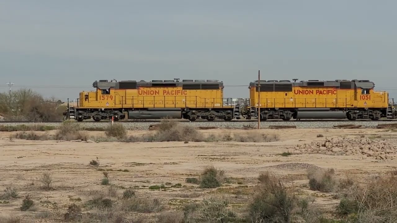 Union Pacific Scares Rabbit - 2/11/2026