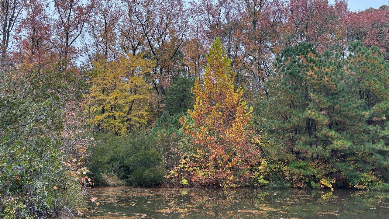 Fishing Over the Fall in Virginia