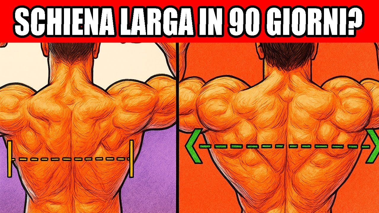 Gli UNICI 6 Esercizi di cui hai bisogno per Schiena e Bicipiti