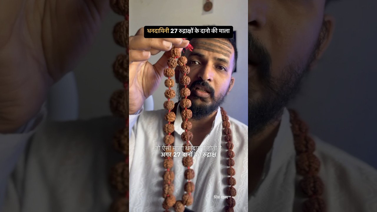 धनवर्धक 27 रुद्राक्ष के दानों की माला । #rudraksha #sanatandharma #shiv