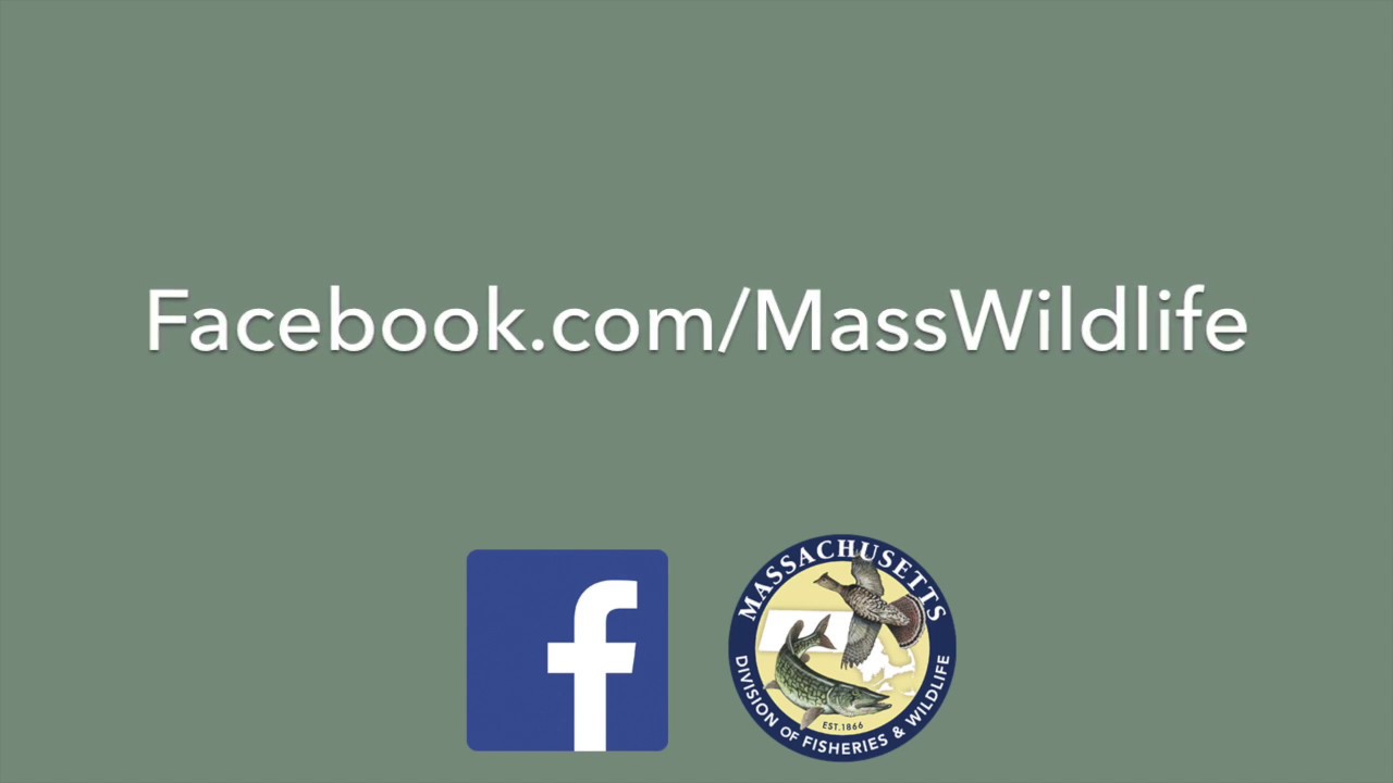 How to: Update Facebook News Feed Settings