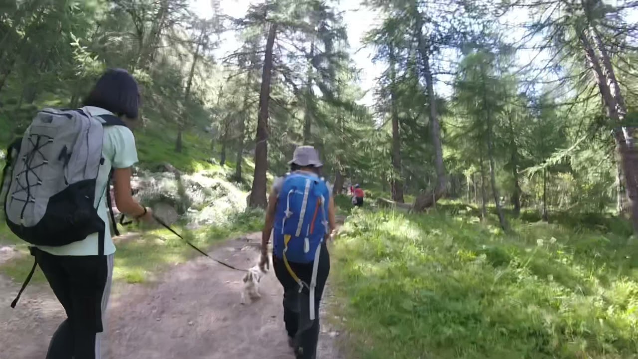 Valsavaranche, Rifugio Vittorio Emanuele II - Agosto 2021