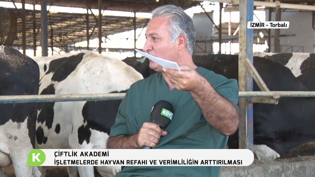 İŞLETMELERDE HAYVAN REFAHI VE VERİMLİLİĞİN ARTTIRILMASI | ÇİFTLİK AKADEMİ