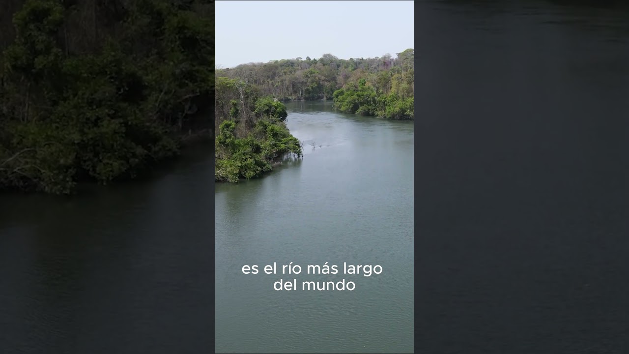 Maravillas del R&iacute;o Amazonas: Naturaleza Exuberante y Vida Salvaje
