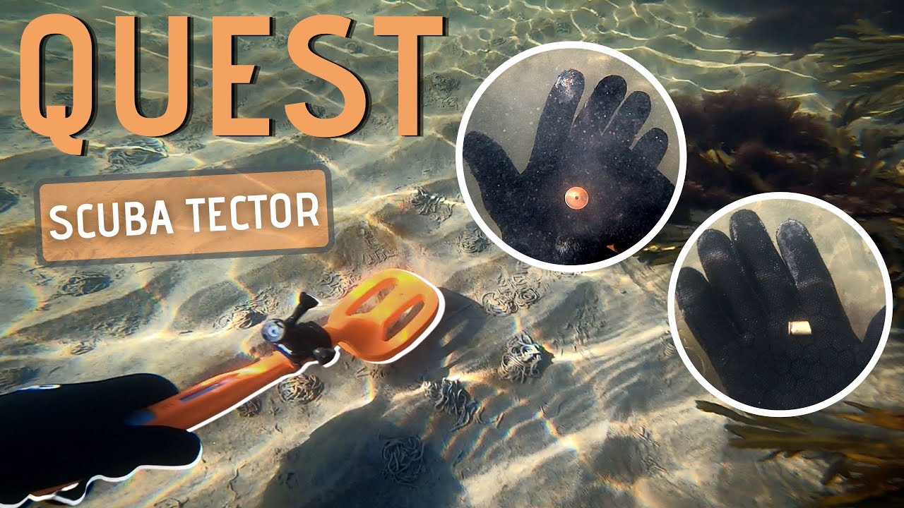 Scuba Tector |OLD RING AND COINS FOUND| Metal Detecting Underwater