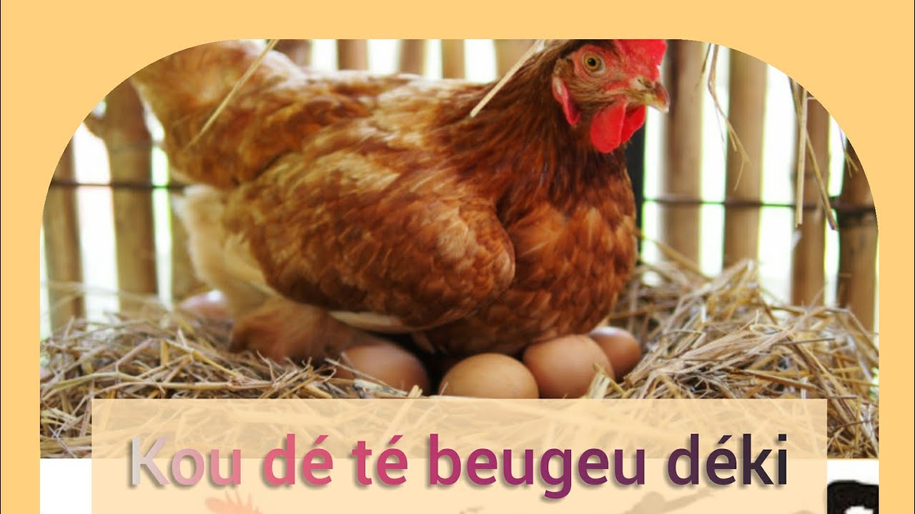 kou d&eacute; ba par&eacute; beugeu d&eacute;kii naniouko d&eacute;fal li 775073863 serigne malick gueye