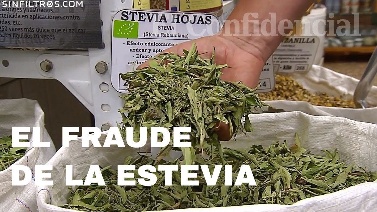 Estevia, el endulzante natural que muchos convierten en fraude