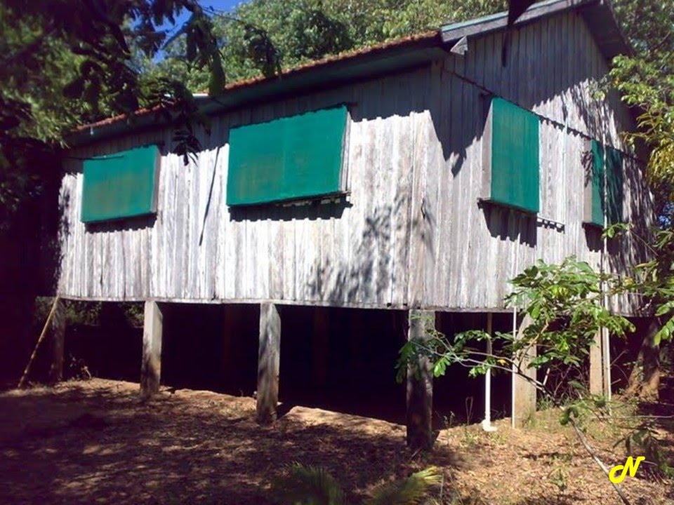 Grupo Gralha Azul   Casa da Ilha
