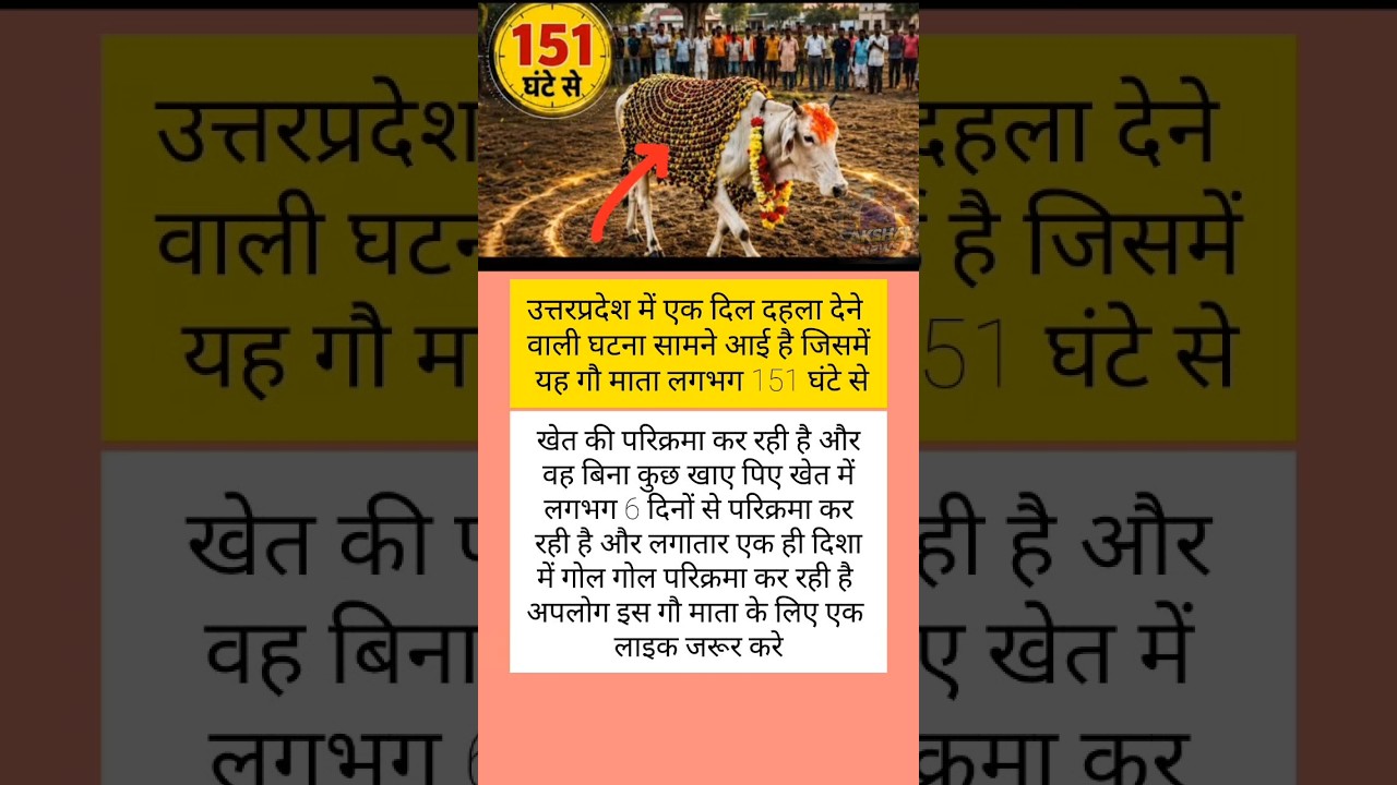 modi ji motivation #modiji #motivation #shorts #newsupdate #abpnews #aajtak #viralnews #explore