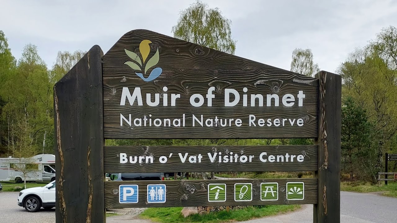 Aberdeen’da Gizli Doğa Rotası! İskoçya’da Kadınlarla Orman Yürüyüşü | Hidden Nature Walk in Scotland