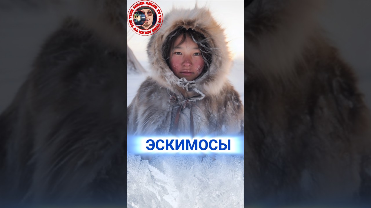 Эскимосы.   #history #shorts_video #shortsyoutube   #интересныефакты #история #тикток #история
