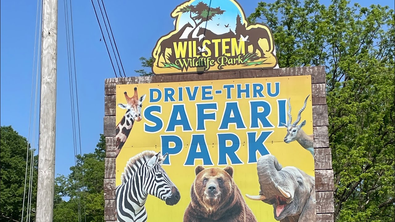 WILSTEM SAFARI PARK