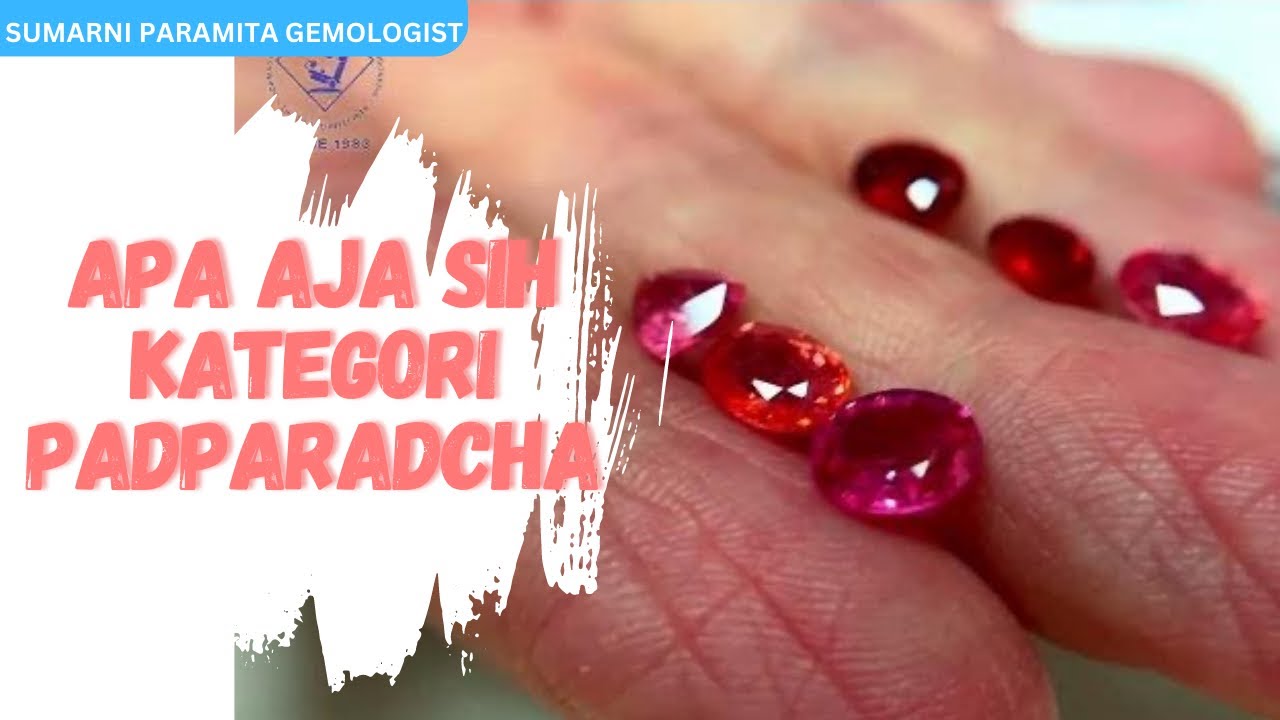MENGENAL KATEGORI PADPARADSCHA