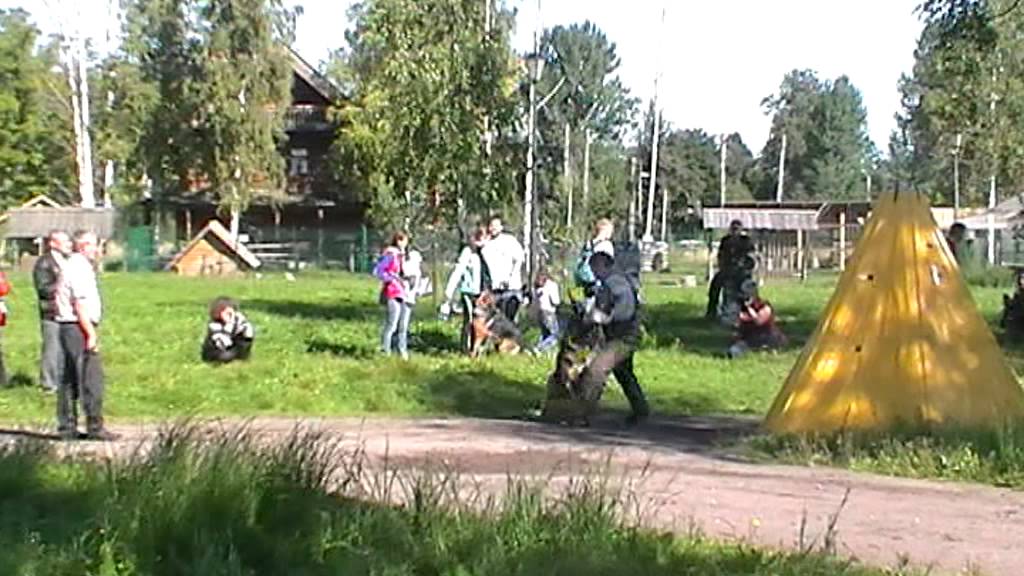 MOV024