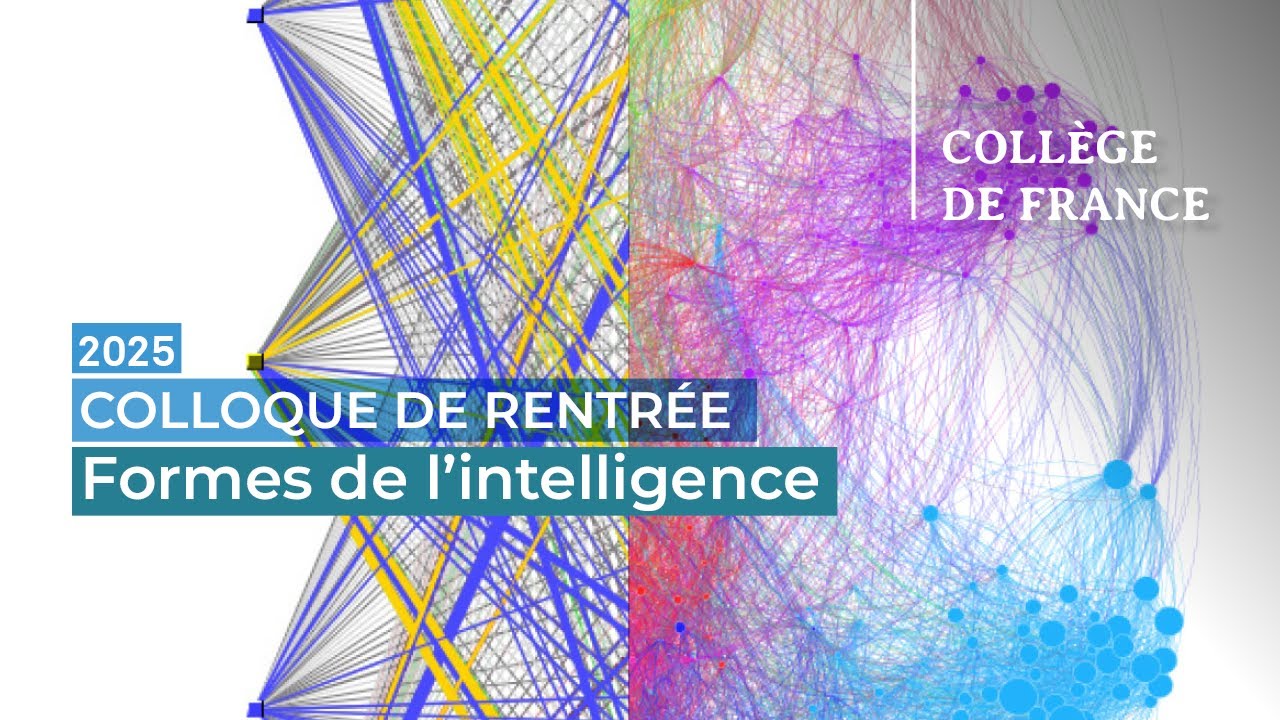 Formes de l&rsquo;intelligence - Thomas R&ouml;mer