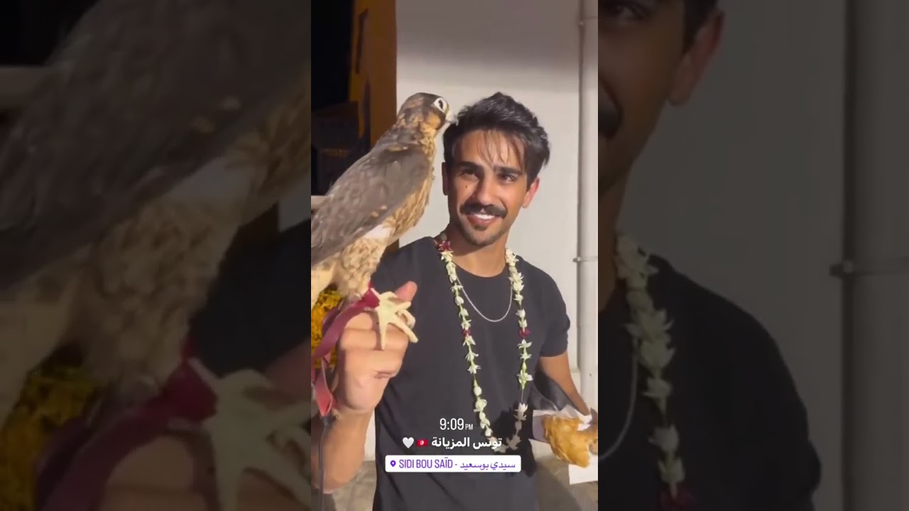 ستوريات معتز العجوري #instagram  #tiktok  #shorts