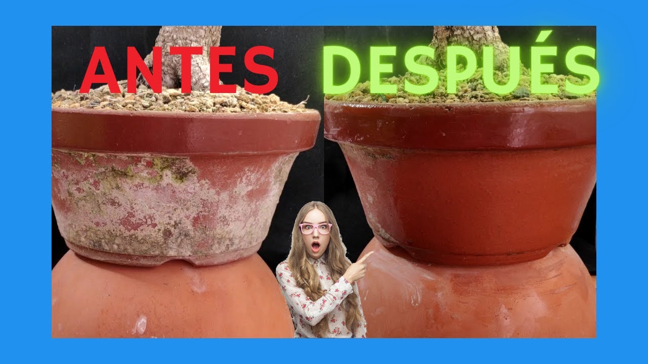 Como quitar la cal de las macetas