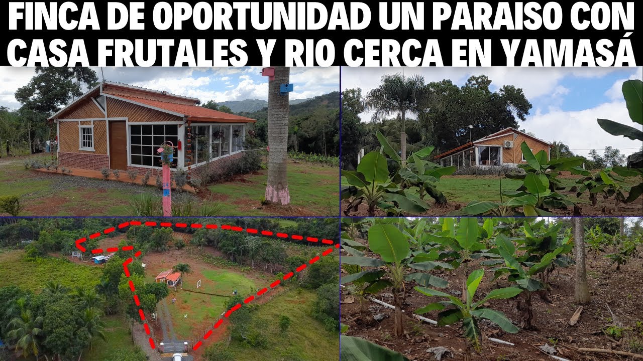 Finca de 29 tareas en Yamasá un Paraíso con Casa Sembrada de frutales y río cerca