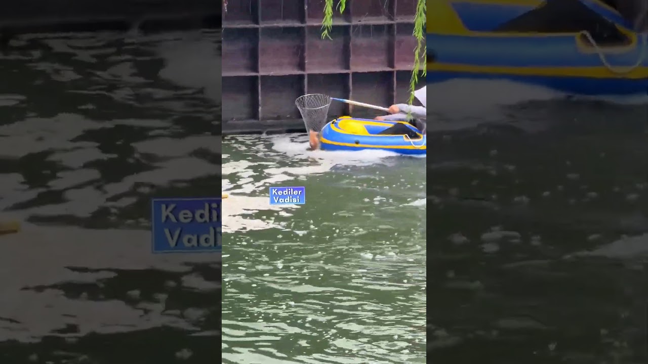 Anne kedi yavrusu i&ccedil;in &ccedil;aresizdi... Ş&uuml;k&uuml;r ki yavru kedi kurtarıldı. #kedi #cat #annekedi