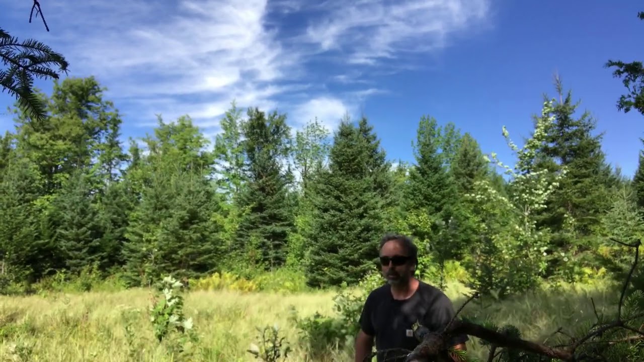 Hundred Acre Year Round Accessible Off Grid Land | Maine Real Estate