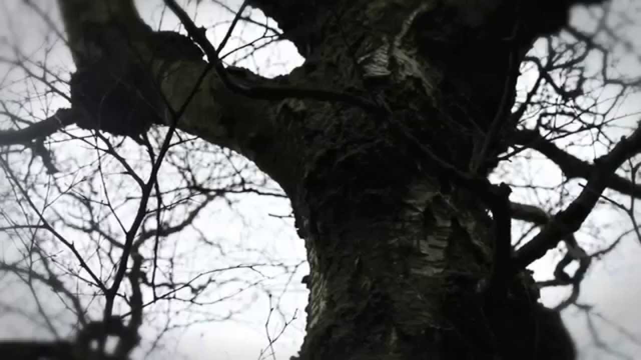 Walker park (Newcastle upon Tyne)