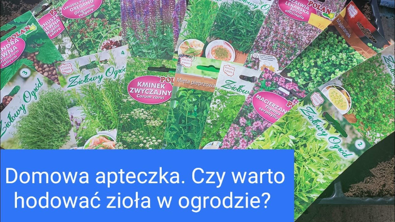 Domowa apteczka w ogrodzie. Rabaty ziołowe. Zastosowanie zi&oacute;ł w kuchni i medycynie naturalnej.
