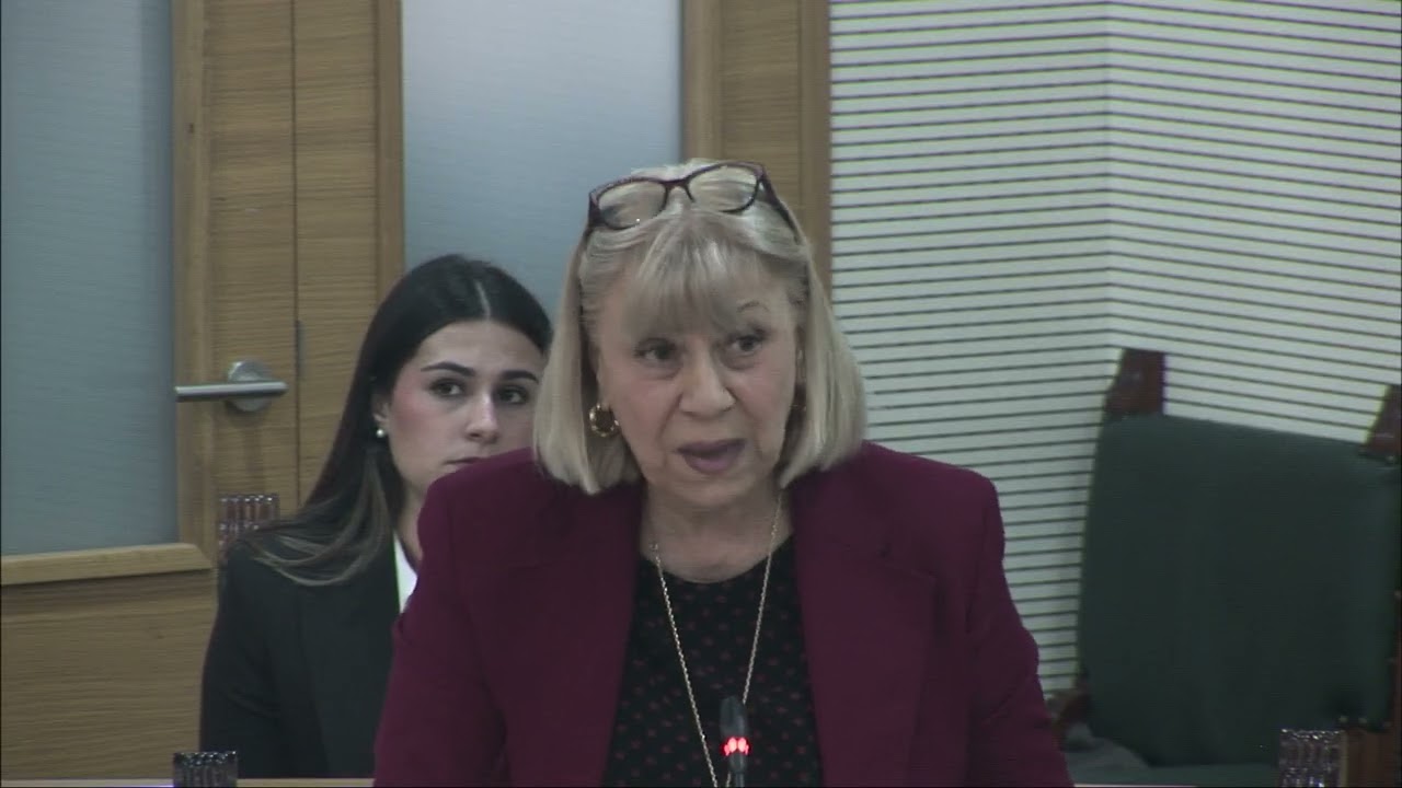 Questions raised over ownership and housing access