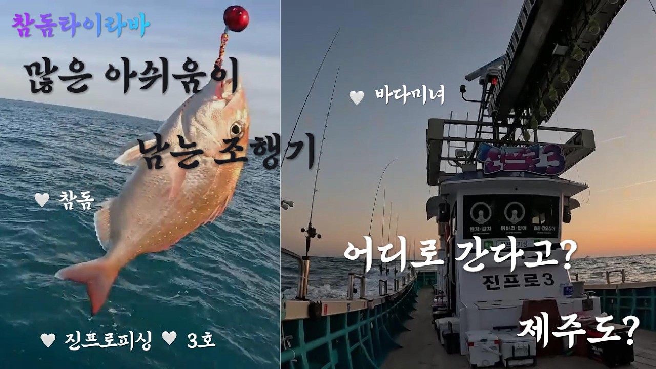 아쉬움의 조행기.... 어디로 가는거지?     #여수 #타이라바 #진프로 #제주도 #참돔