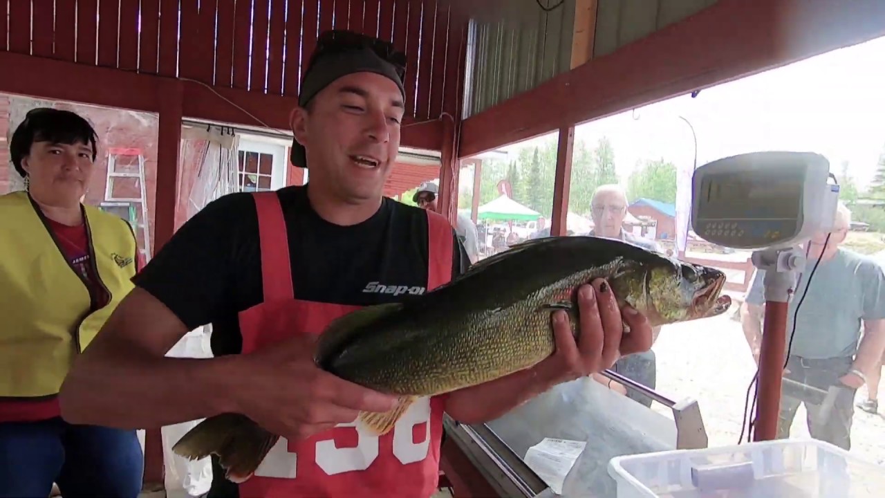 Festival du doré Baie-James - Bonne Pêche Saison 22 - Épisode 3