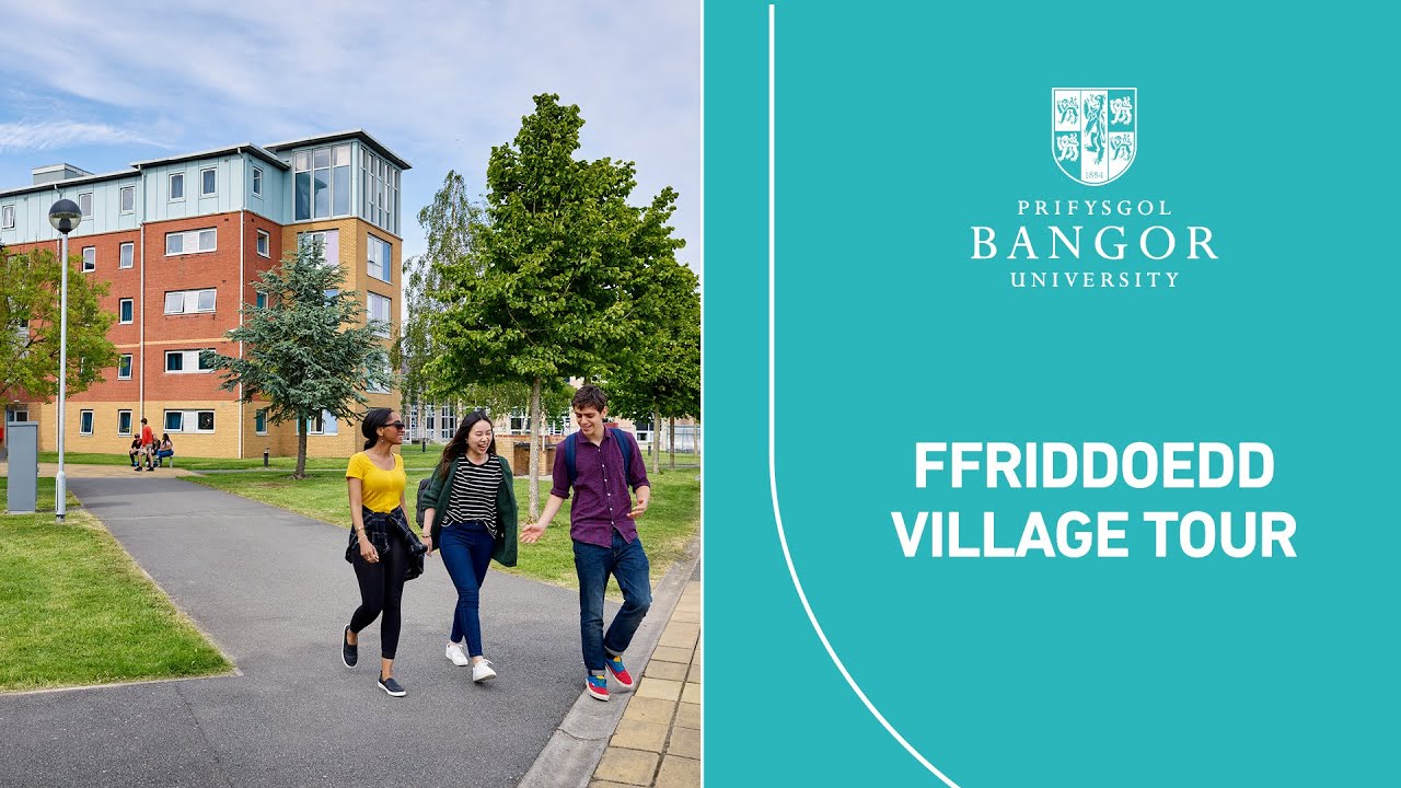 Ffriddoedd Village Tour