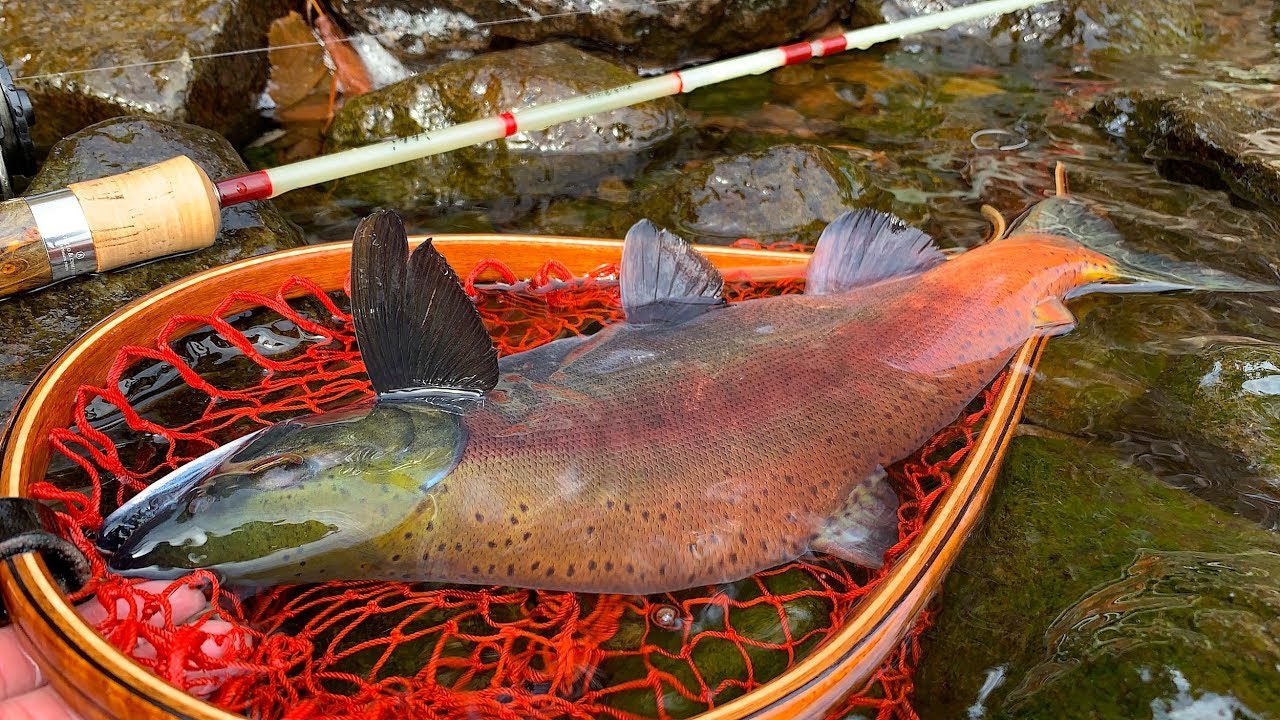 グラスロッドとフローティングミノーで紅き鱒を狙う☆北海道の湖でルアー釣り October, 2019 Hokkaido.Lake Lure Fishing.